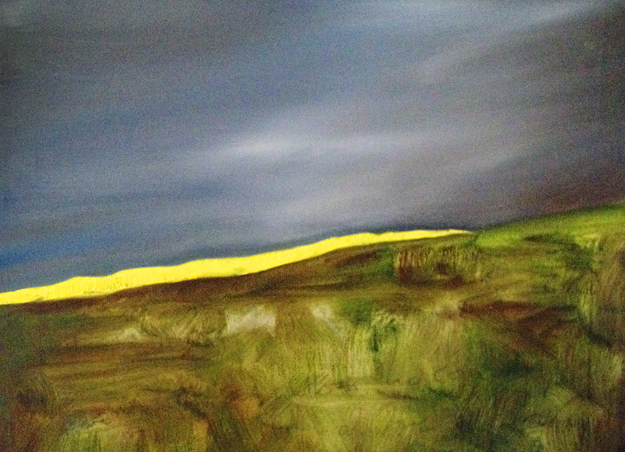 Field in a Storm